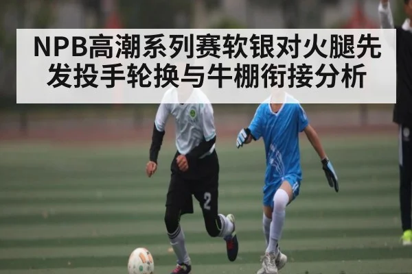 NPB高潮系列赛软银对火腿先发投手轮换与牛棚衔接分析 | 9BO SPORTS